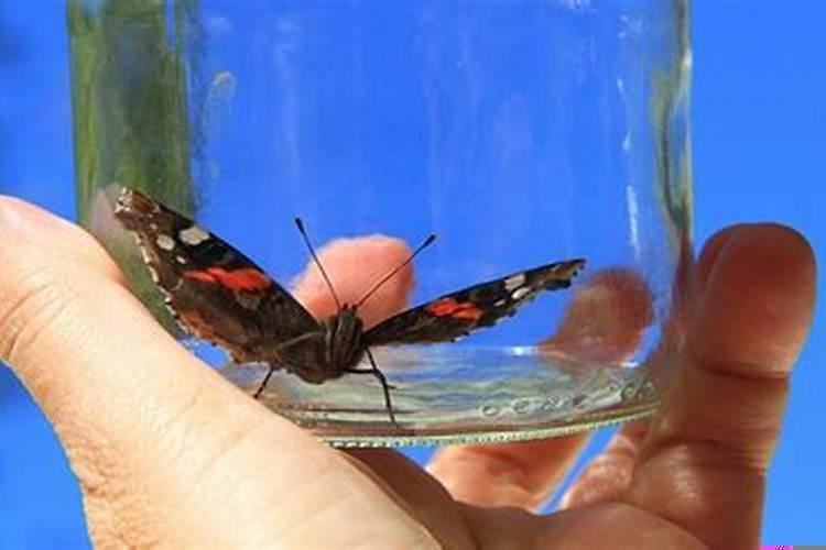 男女婚配相差最佳年龄是多少