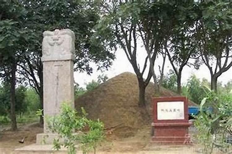 坟上面栽的槐树有什么影响