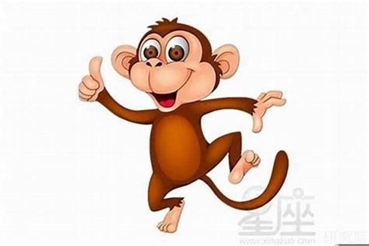 生肖猴与谁在一起会走好运