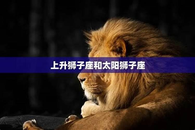 狮子座是什么性格星座乐手机版