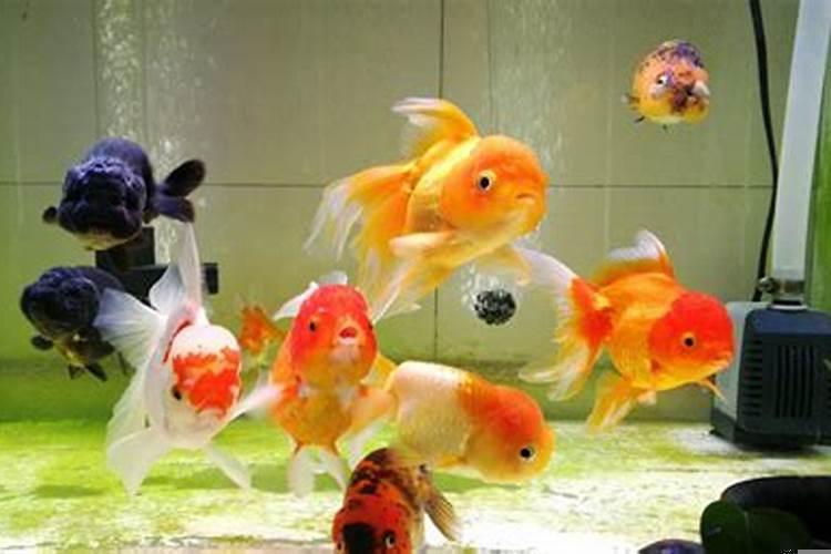 搬家的风水禁忌是什么