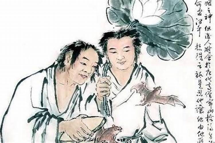 和合术有什么作用