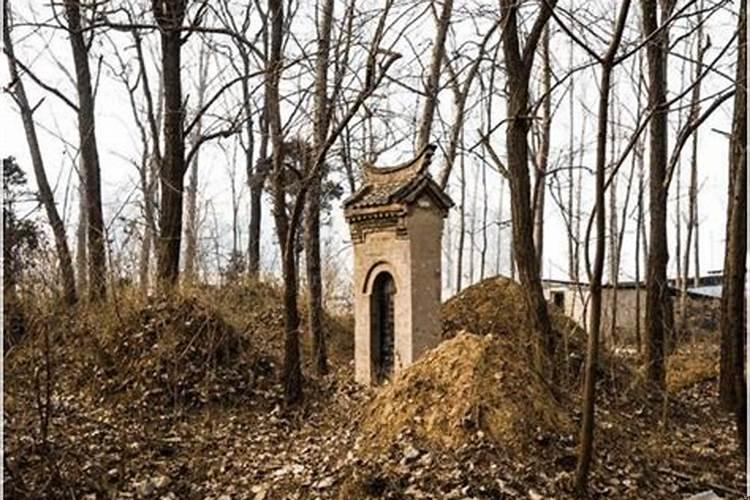 梦见去了坟地看到了死去的亲人