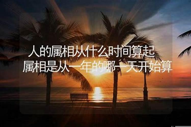属相是从哪一天开始算