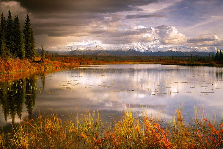 属虎的人可以佩戴龙龟吗