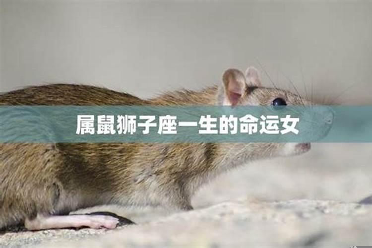 狮子座女生的命运如何