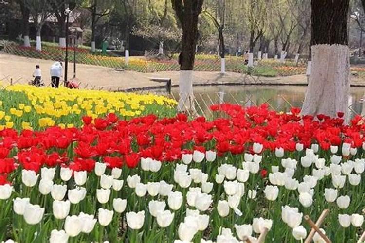 诸暨三角广场有几家算命的