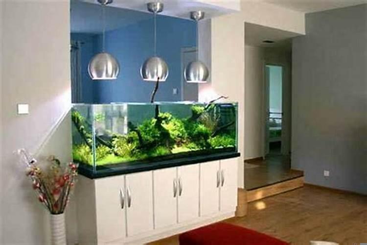 办公室鱼缸怎么摆放风水好