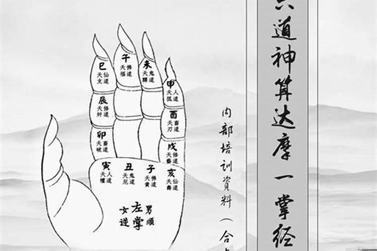 一掌经流年大运细解