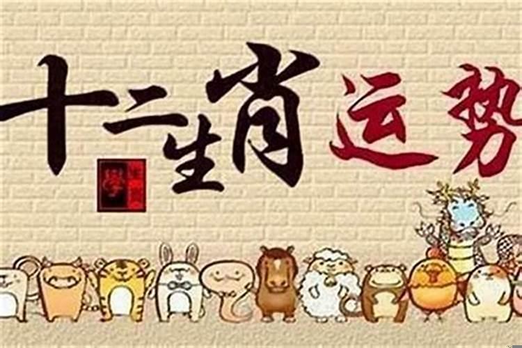 最能把握男人心的生肖女