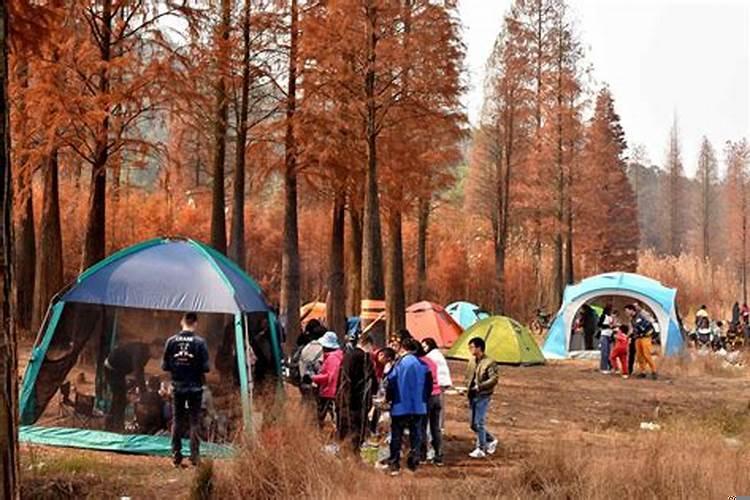 24该找对象了吗