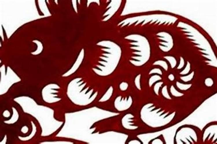 属鼠的女生大多什么性格