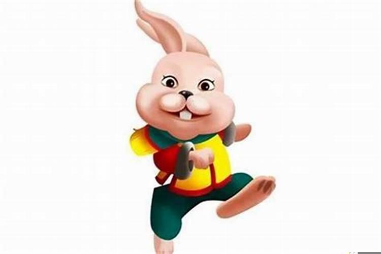 属兔的戴什么吉祥物好