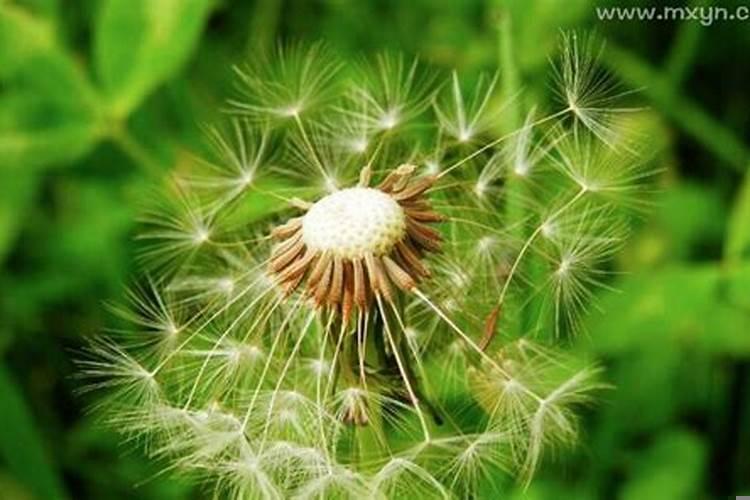 梦见发脾气吵架是什么意思