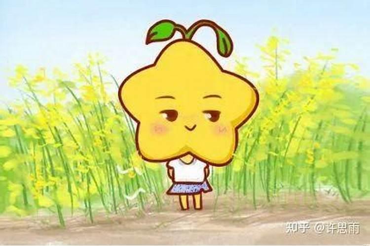 摩羯座的婚姻最终归宿