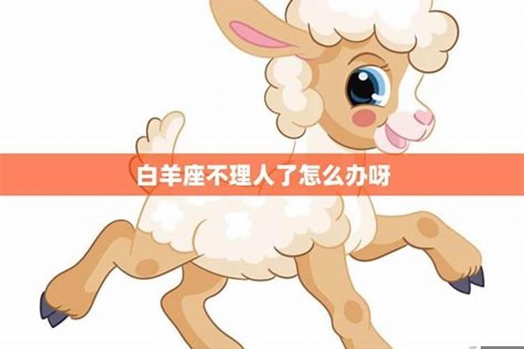 星座中哪个星座最笨