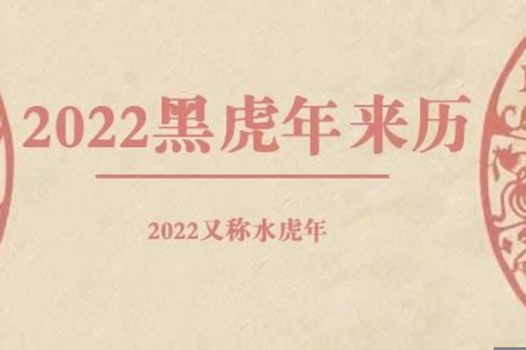 2022年俗称什么虎年