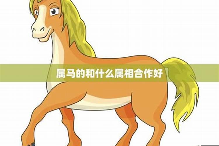 属马的和什么属相合作最旺财