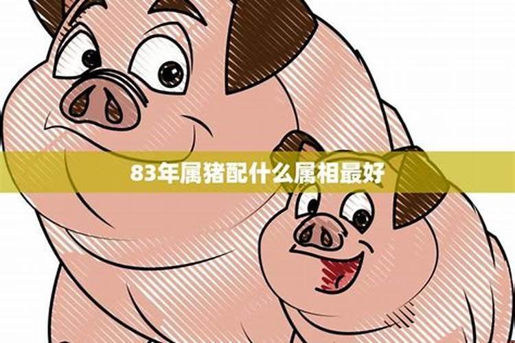 属猪的配什么生肖最好