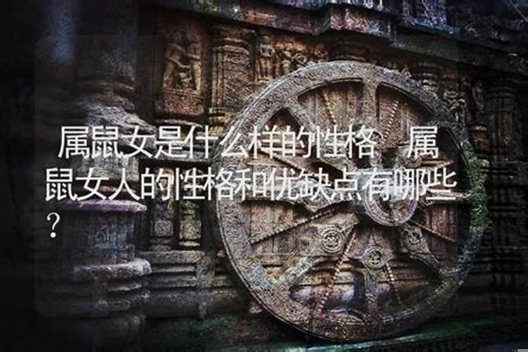 属鼠的女生大多什么性格