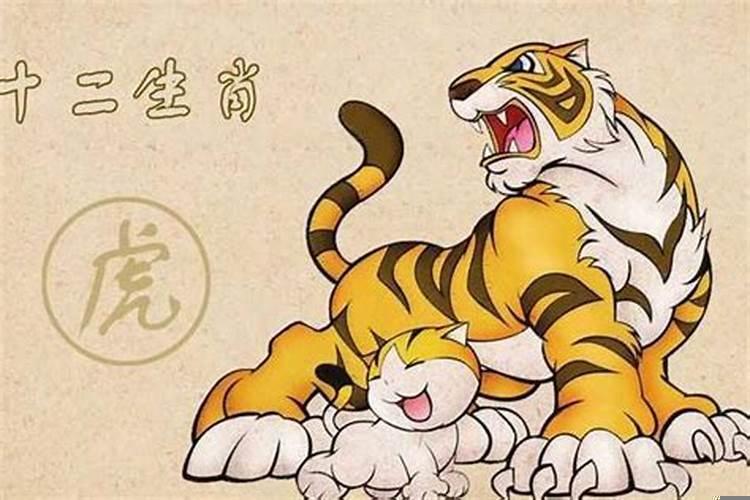 属相虎和什么属相最好