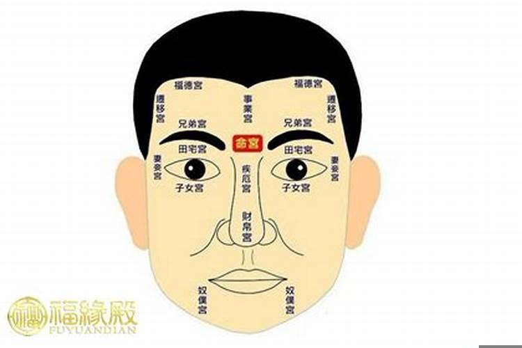 面相分析容易破财的人多吗