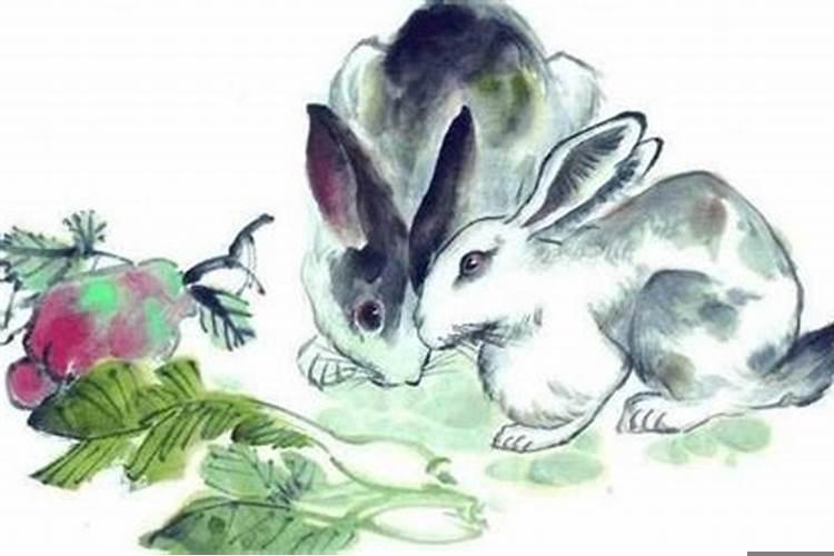 结婚有必要看生肖配不配吗