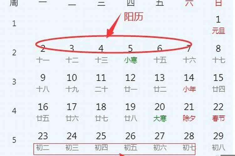 今年是什么的
