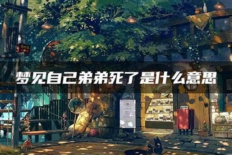 我梦见弟弟死了