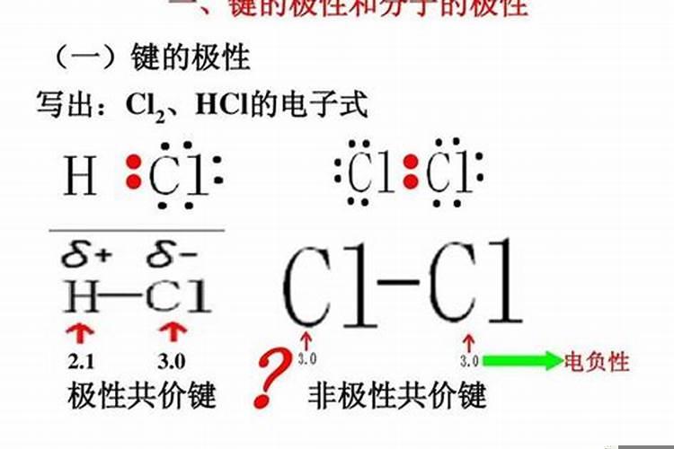 请问什么是药物