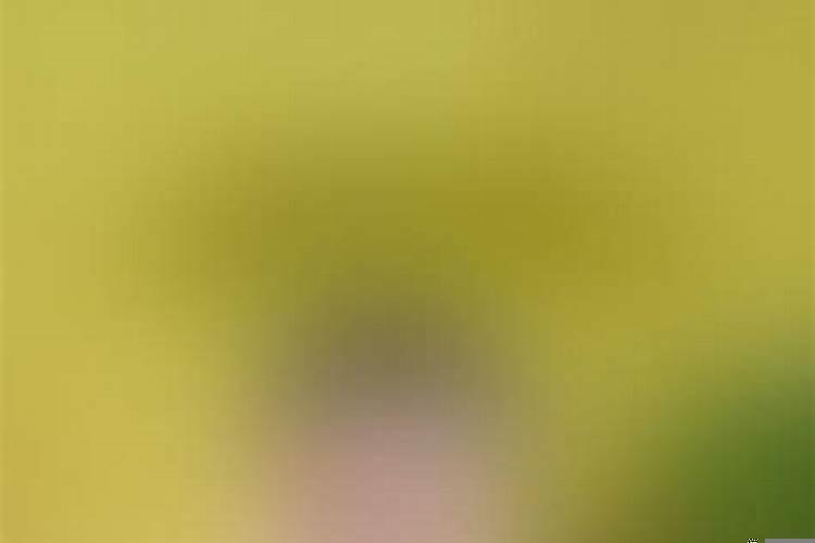 拆房子黄道吉日选择什么日子