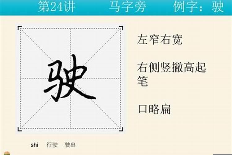 哪些事物名称中带马字旁