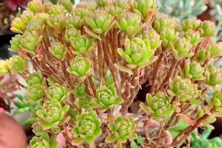 职场总是遇到小人