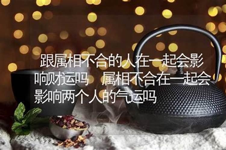 属相不和会影响彼此的财运吗