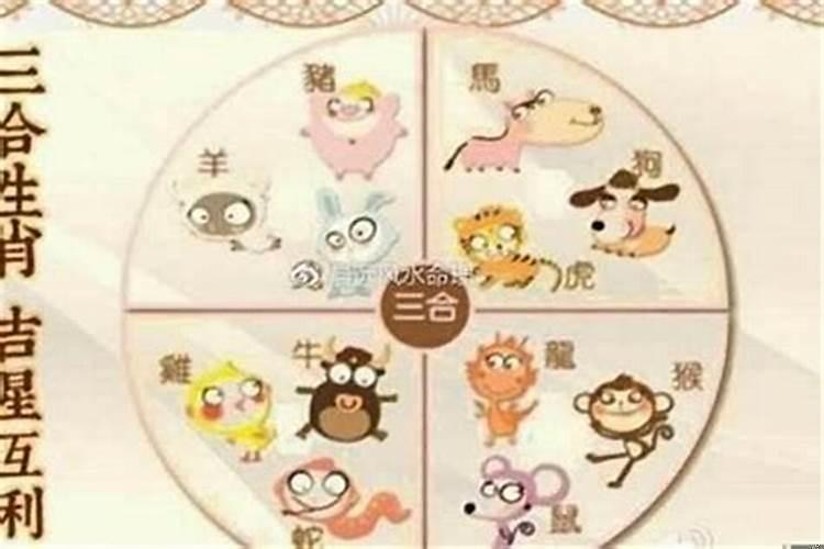 82年属狗的什么时候走运