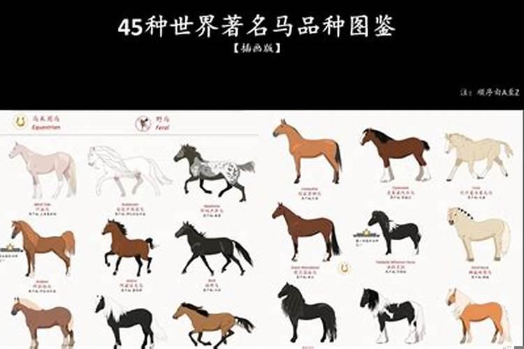 哪些事物名称中带马字旁