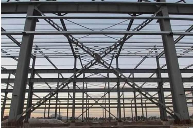 坟头长松树怎样处理