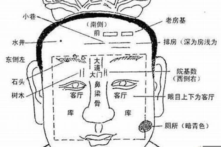 面相分析容易破财的人多吗
