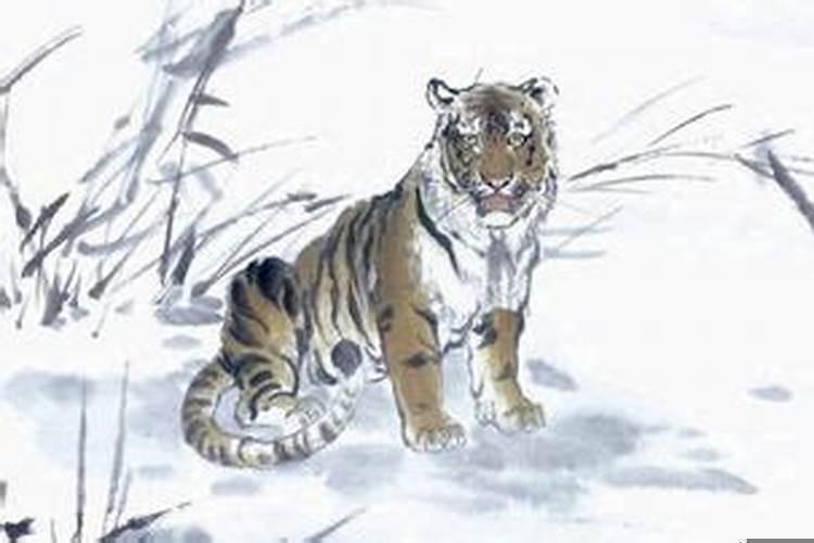 十二生肖虎为什么在兔的前面