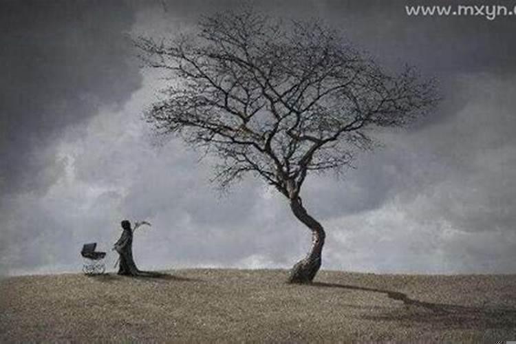 梦见梦见抬死人