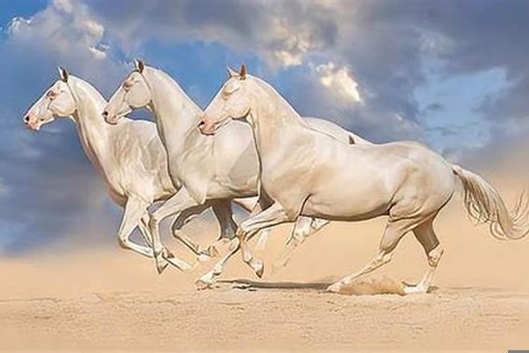 梦见马好不好什么意思