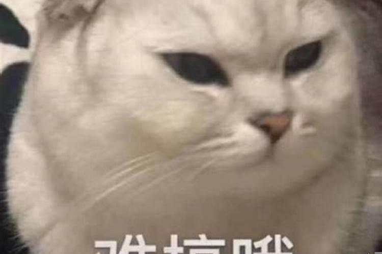 最可怕的是烂好人