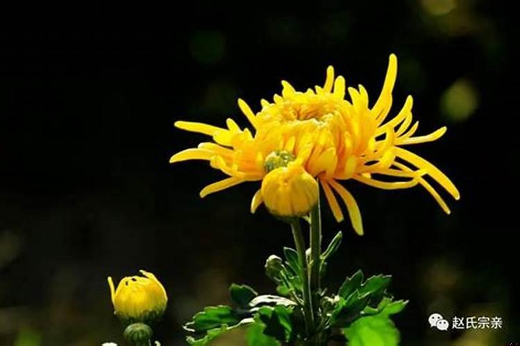 民间丧葬风俗的禁忌