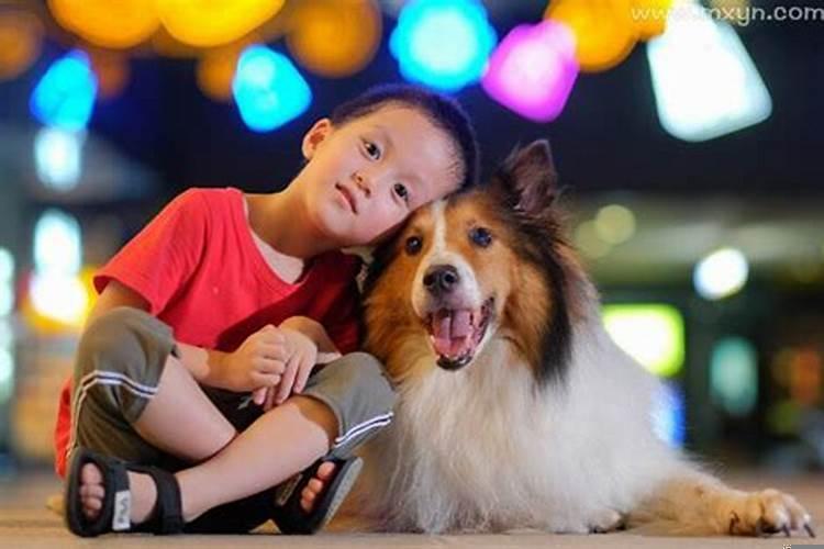 梦见侄子死了又活了