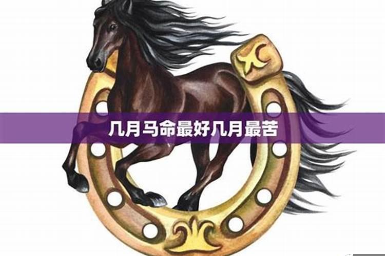 几月出生的马是富贵命