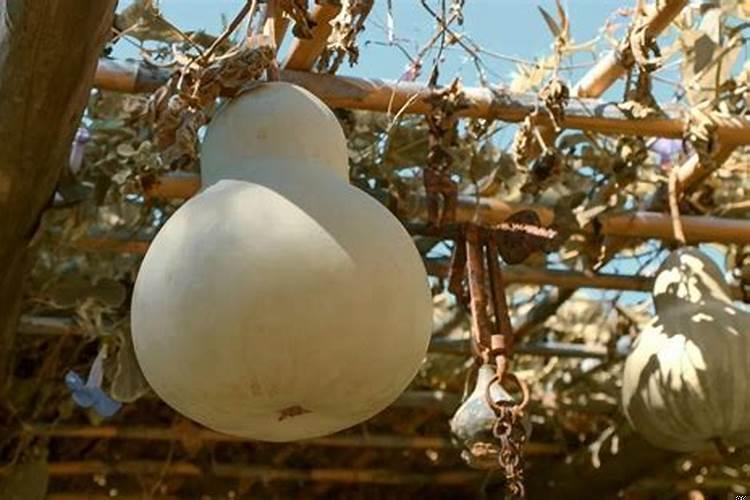 风水葫芦有用吗