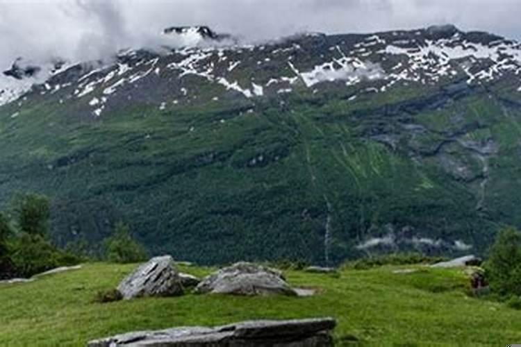 1973年属牛人今年运势如何