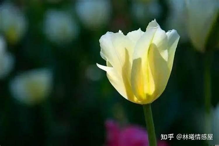 丧偶式婚姻的三大表现是什么