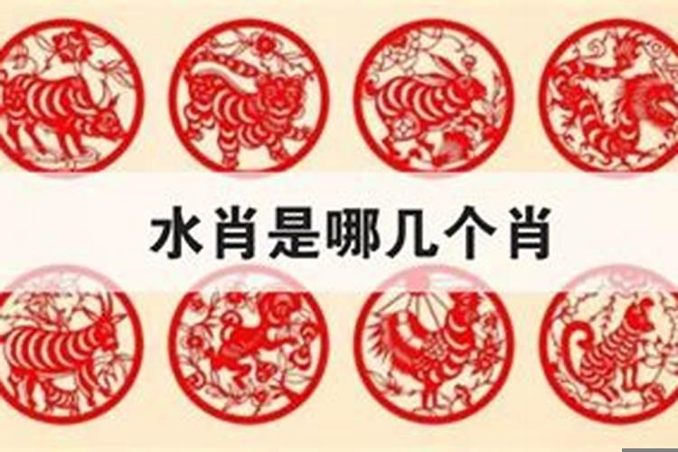 十二生肖哪几个是佛肖