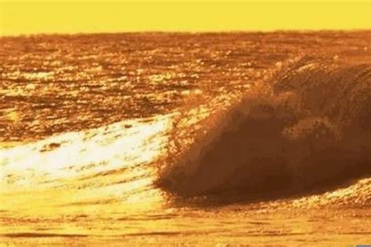 什么叫海中金命海中金命好吗